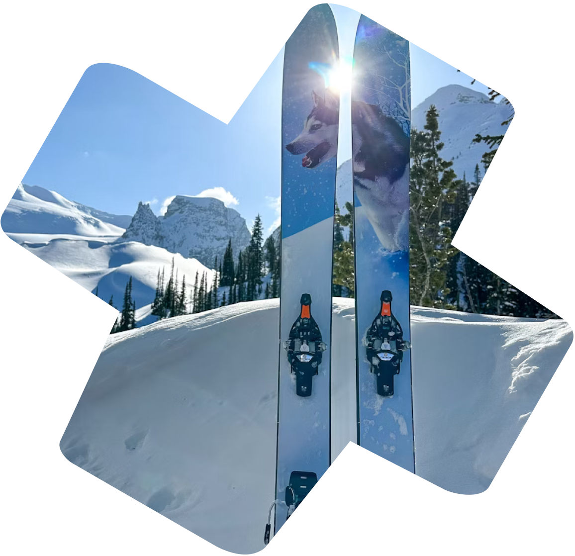 lyže v požičovni lyžiarskej výbavy